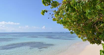 Villa with private pool, quiet, close to beaches, in Sainte Anne