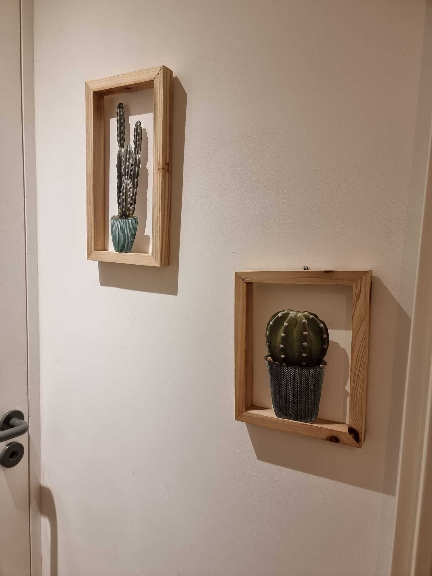 Dos plantas de cactus enmarcadas en una pared.