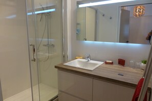 Shower, hair dryer, toilet paper