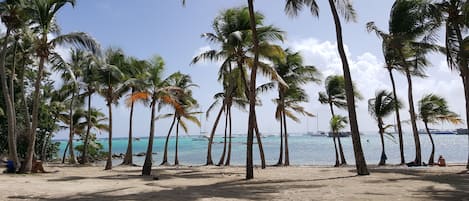 Playa en los alrededores 