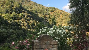 A stone water fountain surrounded by lush greenery and flowering plants.