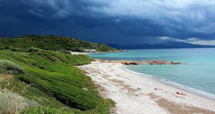 Maison en pleine nature dans petit village Ă 35 min des plages de Sagone