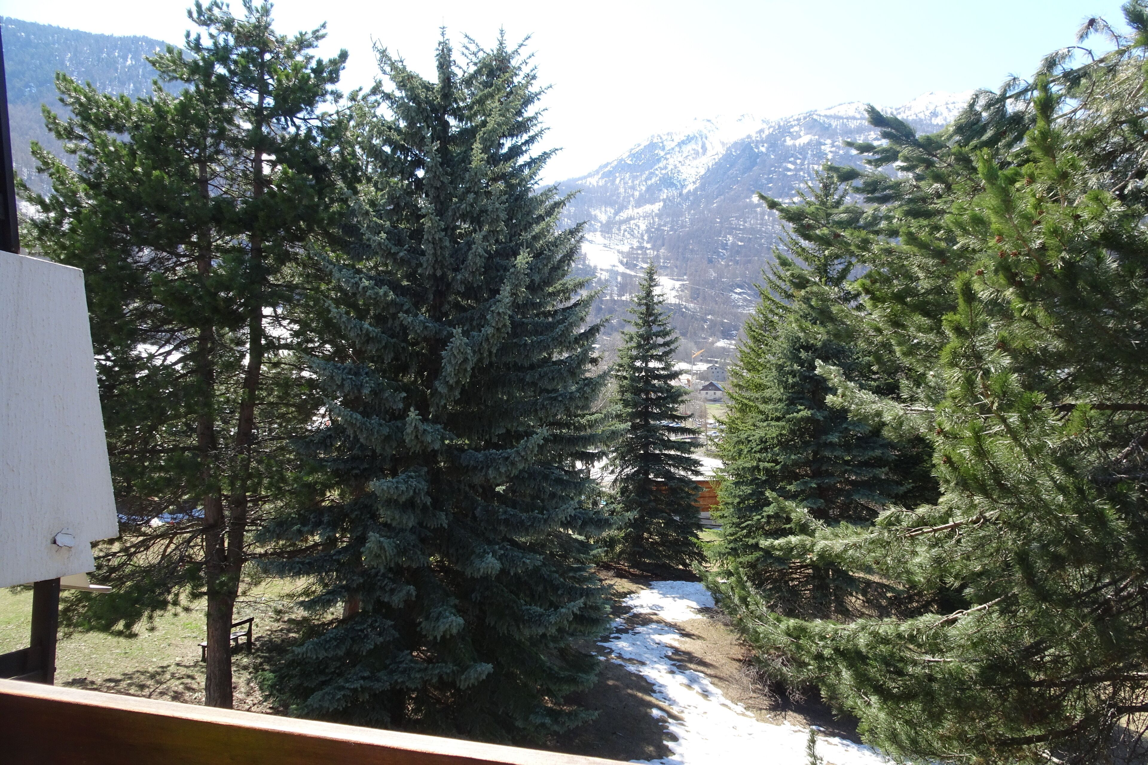 Vista de un paisaje montañoso nevado con árboles de hoja perenne en primer plano.