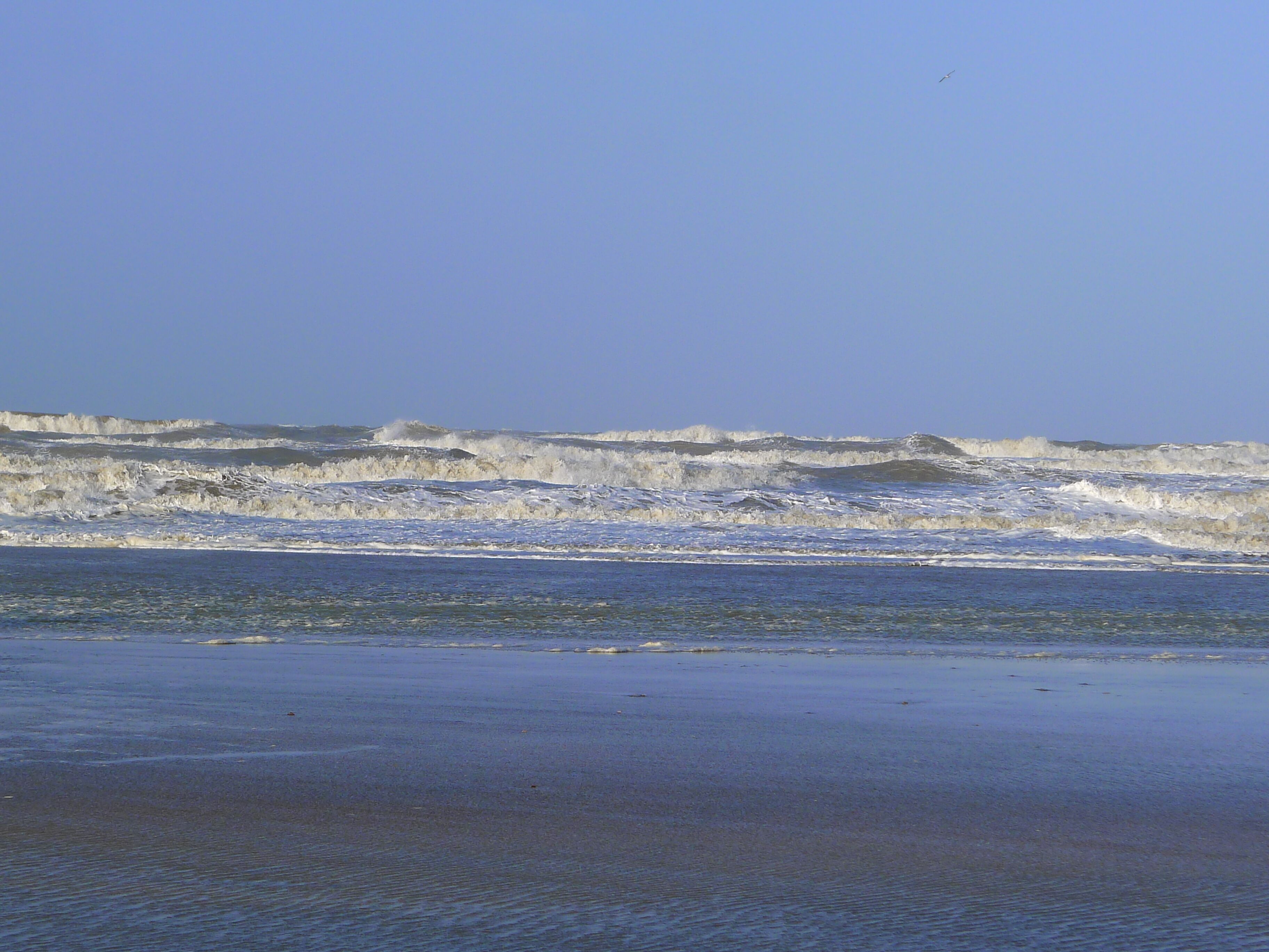 la mer Deauville