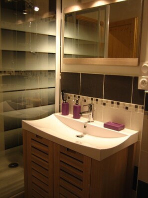 Shower, hair dryer - New apartment, comfortable, super center, elevator and wifi (Mont-Dore)