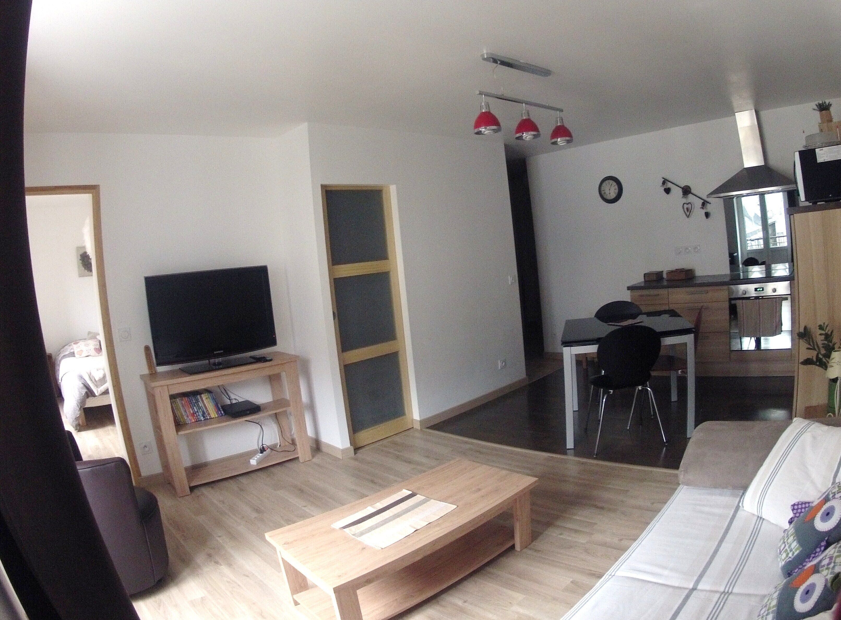 电视、DVD 播放器