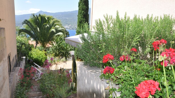 A garden with stone steps leading to a white building, surrounded by greenery and red flowers. - Studio 2 persons propriano (Propriano)