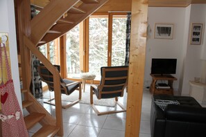 TV connectée, cheminée, lecteur de DVD, livres