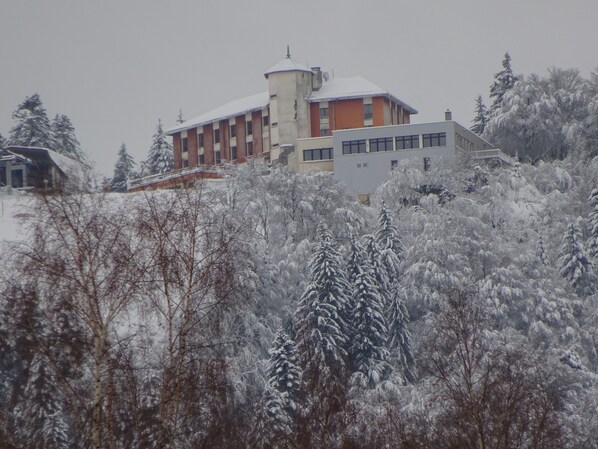 Exterior - Chalet''Le Chardon '' 67m2 + 20m2 rental from 2 to 7 people with modular option (La Bourboule)