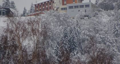 Chalet''Le Chardon '' 67m2 + 20m2 rental from 2 to 7 people with modular option