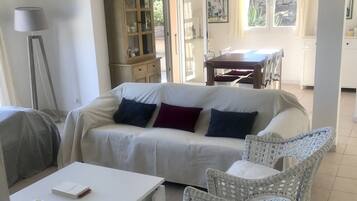 TV connectée, cheminée, lecteur de DVD, livres