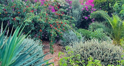 El Maquis in a 3,000 m² landscaped garden, calm and a change of scenery...