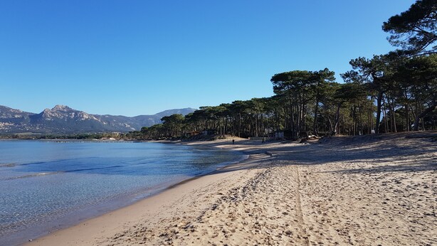 A beach with clear blue water, sandy shore, and a forested area with mountains in the background. - 50 m2 apartment with terrace on the ground floor of a villa (Calvi)