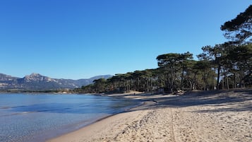 Plage à proximité