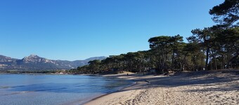 50 m2 apartment with terrace on the ground floor of a villa