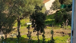A view of a rural landscape with olive trees and a distant building with a red roof. - 50 m2 apartment with terrace on the ground floor of a villa (Calvi)