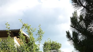 Une zone herbeuse avec un bâtiment en pierre et un arbre.