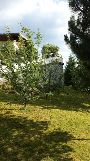 المنطقة المحيطة بالمنشأة