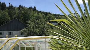 Un espace piscine doté d’une structure en verre, de plantes tropicales et offrant une vue sur un bâtiment en arrière-plan.