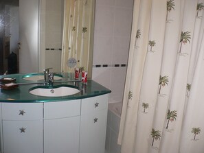 Combined shower/tub, hair dryer