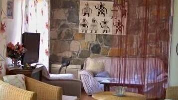 Televisio, takka, videopelejä, DVD-soitin