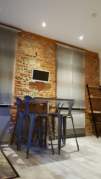 Toulouse Canal du Midi