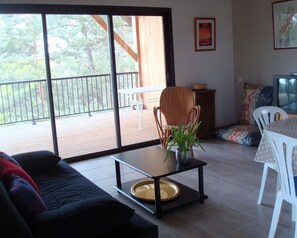 Televisión, reproductor de DVD, libros