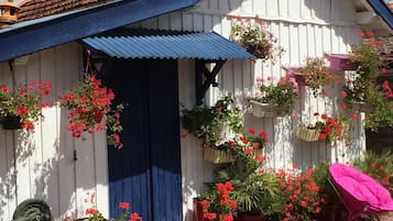 Exteriör