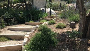 A garden with stone steps, various plants, and a stone wall. - Bastide provençale 12 pers with swimming pool, 2 steps from Saint-Rémy-de-Pce (Eyragues)