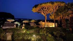 Vista nocturna de un jardín ajardinado con un árbol destacado, setos bien cuidados y una vista distante de casas.