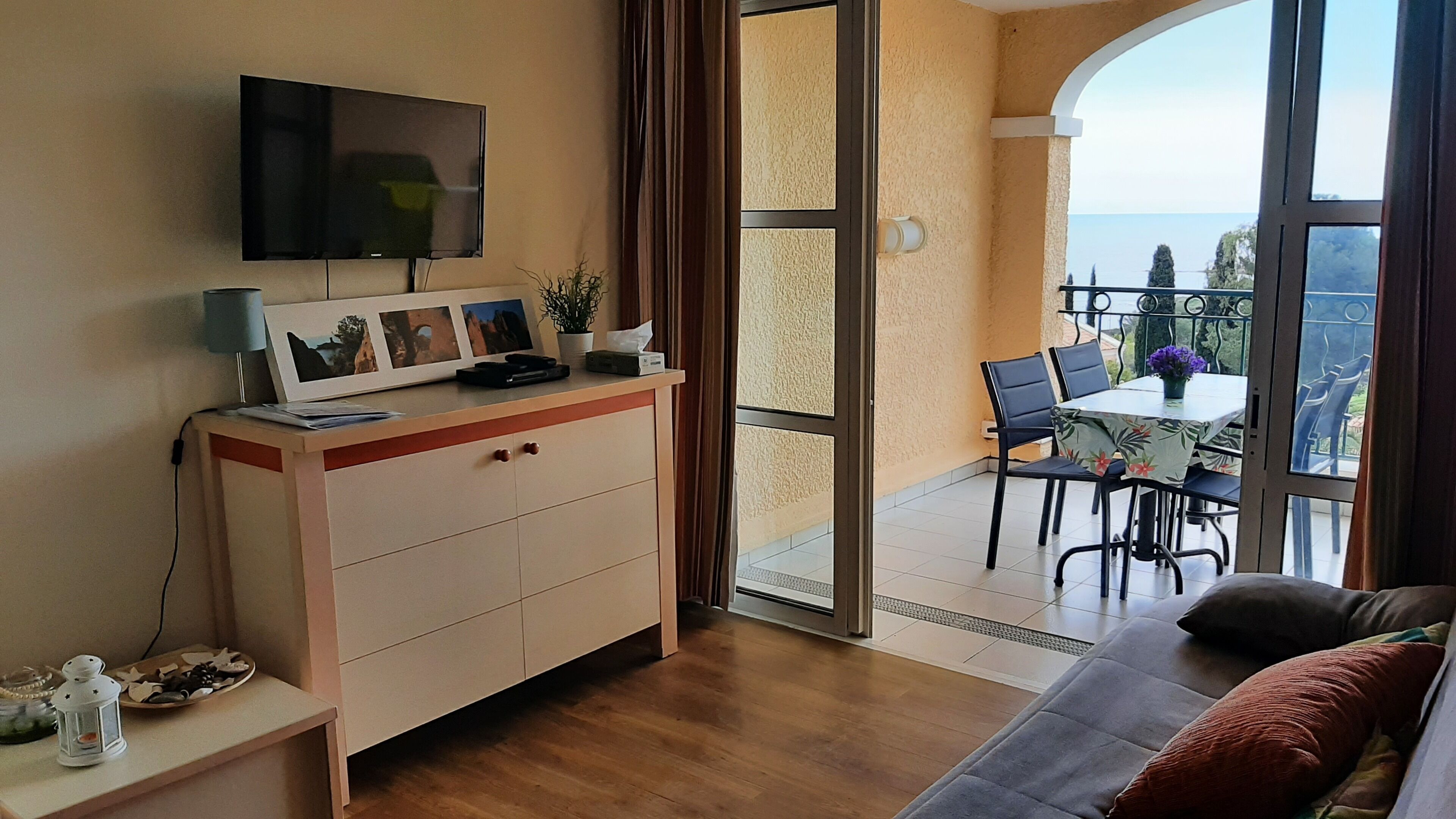 Télévision, lecteur de DVD, livres, vidéothèque