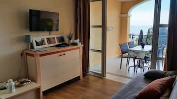 Télévision, lecteur de DVD, livres, vidéothÚque