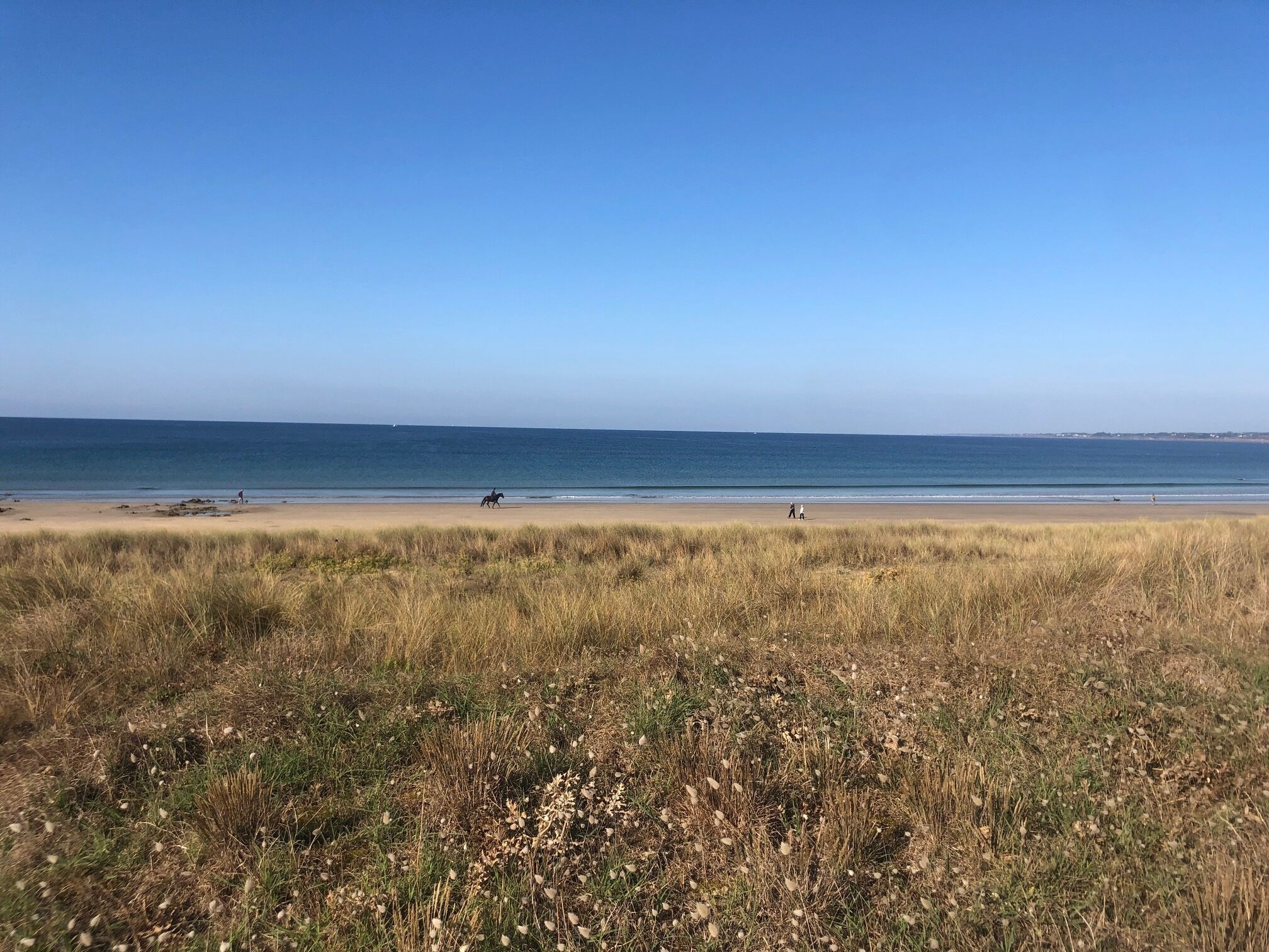 Une plage avec un espace herbeux en premier plan et une vue dégagée sur l’océan.