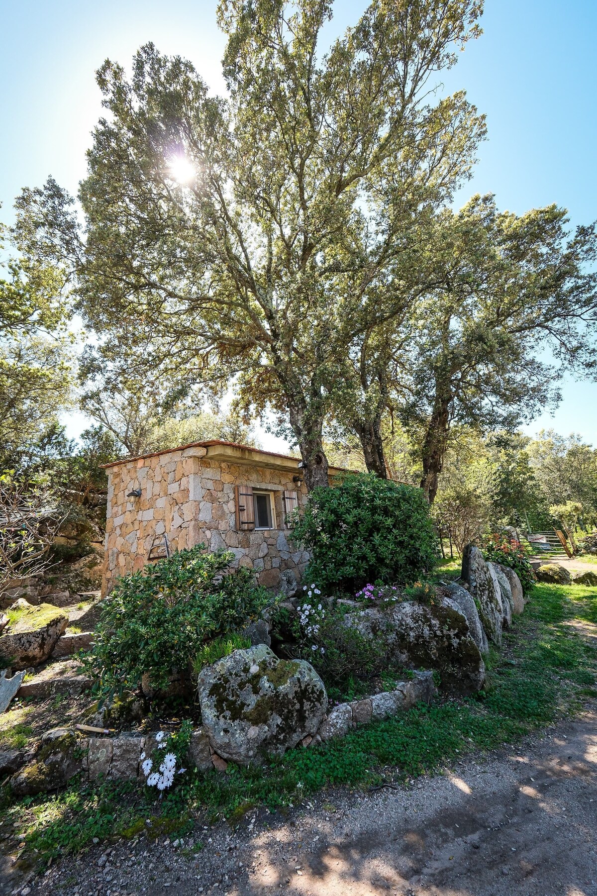 オーナーのプロフィール画像