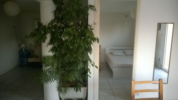 A bedroom with a bed, a bedside table, a mirror, and a potted plant. - AFA villa floor 15 km from Ajaccio (Afa)