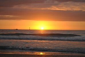 Playa en los alrededores y camastros