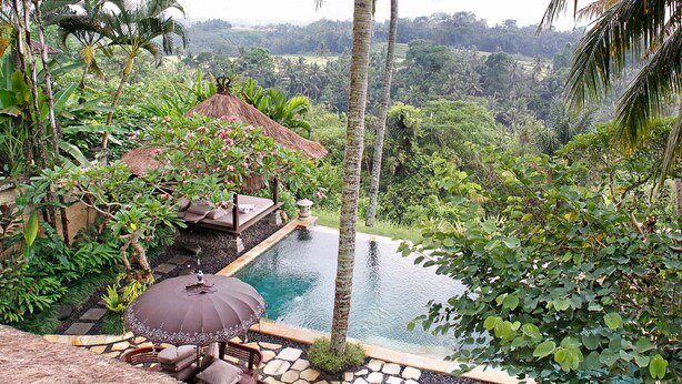 A lush garden with a pool, a thatched-roof structure, and a dining area with outdoor furniture. - Villa Ria Sayan Ubud (Ubud)