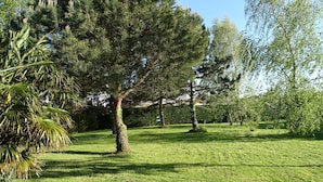A well-maintained grassy area with a large tree and a smaller tree in the background. - charming holiday home, Bourcefranc le chapus (Bourcefranc-Le-Chapus)