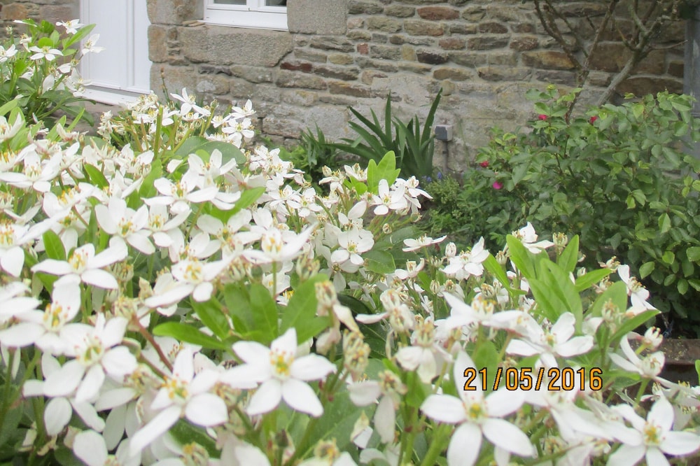 Tissey cottage in the bay of Mont St Michel