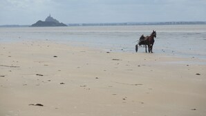 Una playa con un carruaje tirado por caballos que avanza por la orilla.