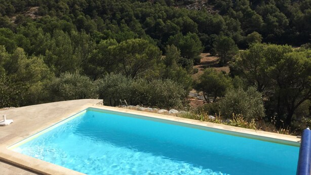 A rectangular swimming pool with clear blue water, surrounded by a concrete deck. In the background, there is a dense forest with a mountainous landscape. - Vacation rental house with pool CAVAILLON LS2-292 (Cavaillon)