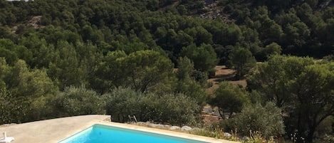 A rectangular swimming pool with clear blue water, surrounded by a concrete deck. In the background, there is a dense forest with a mountainous landscape.
