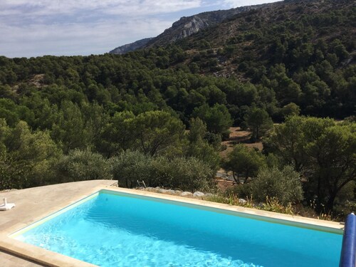 Vacation rental house with pool CAVAILLON LS2-292