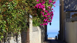 A narrow alleyway with a stone wall on one side and a view of the sea on the other. - Beautiful house with sea view and fireplace (Ver-sur-Mer)