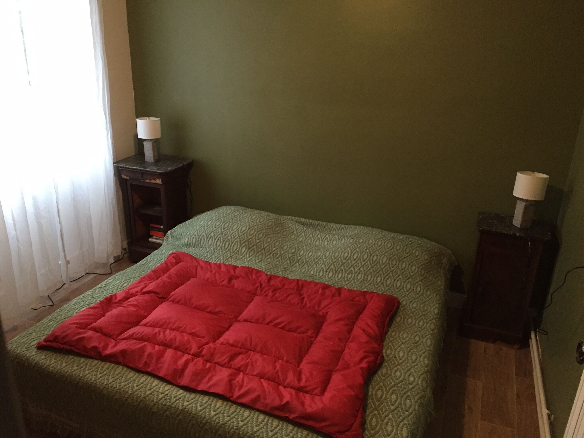 Large family house with large garden