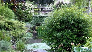 A garden with a pond, various plants, and a wooden bridge.