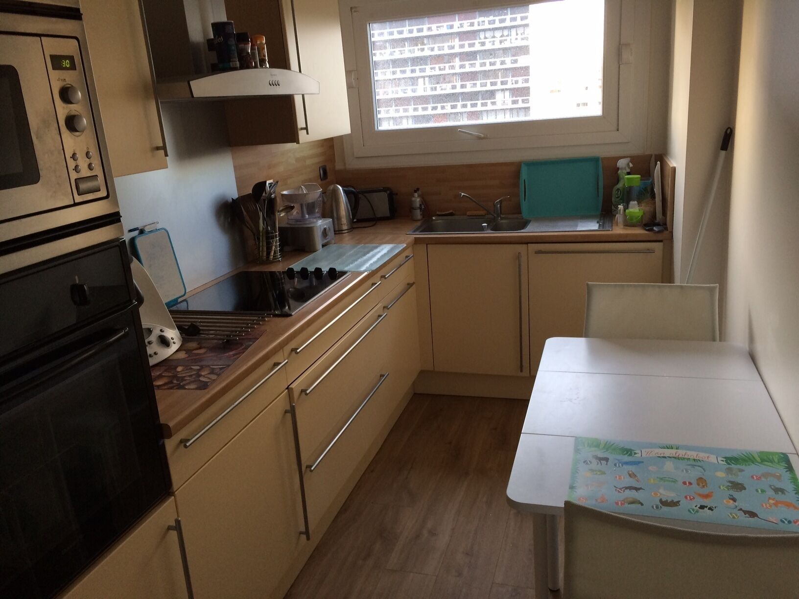 whole apartment large T4 full downtown