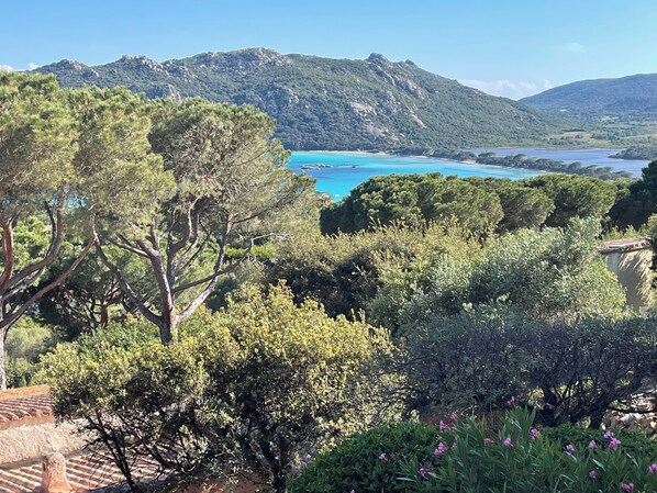 A coastal landscape with dense greenery, a clear blue sea, and distant mountains.