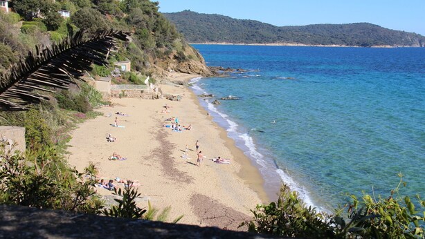 Una playa con gente tomando el sol y nadando, rodeada de vegetación y colinas.
