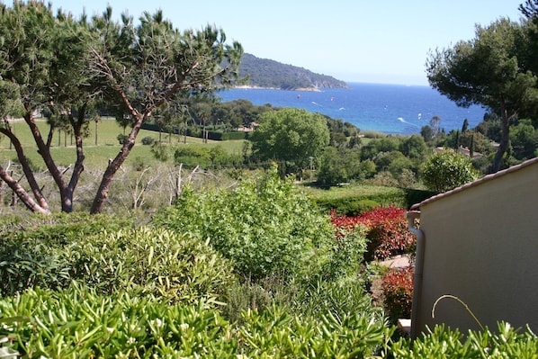A coastal landscape with a view of the sea, trees, and a building.